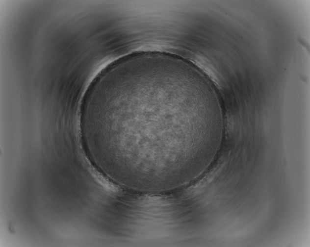 X0000097810976200803141115