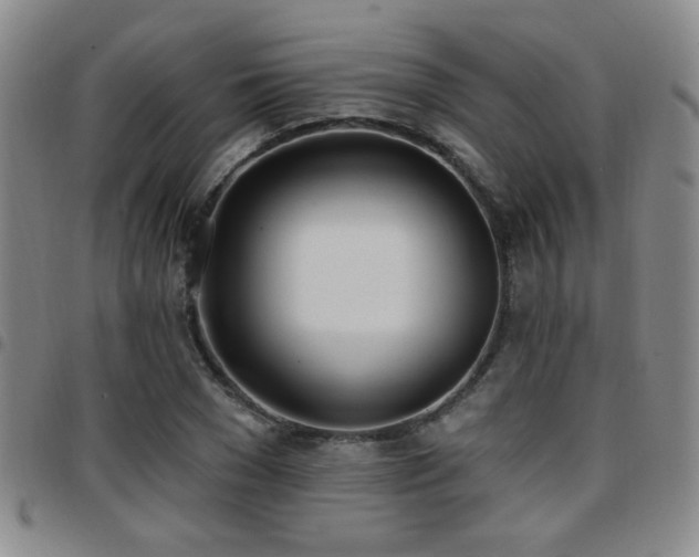 X0000097810977200803141115