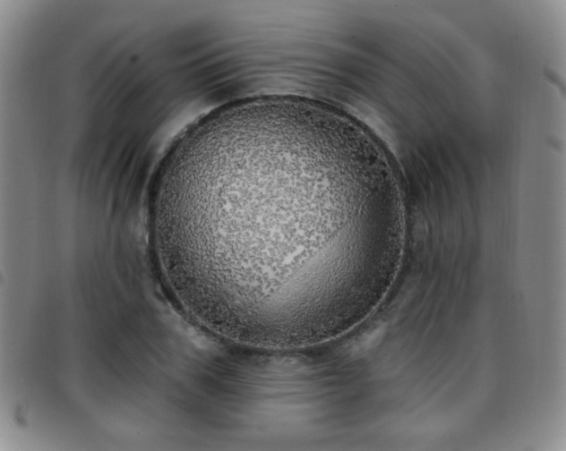 X0000097810979200803141115