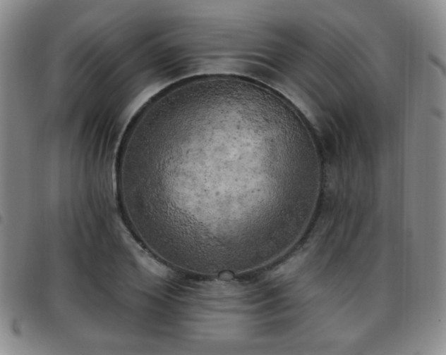 X0000097810980200803141115