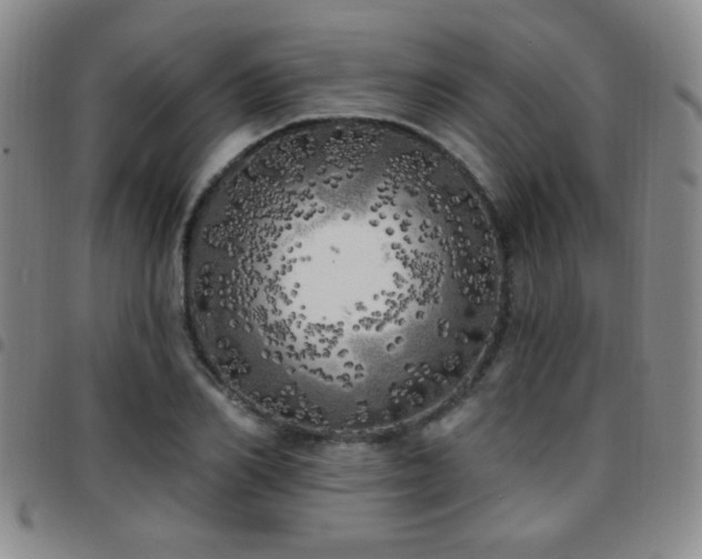 X0000097810982200803141115