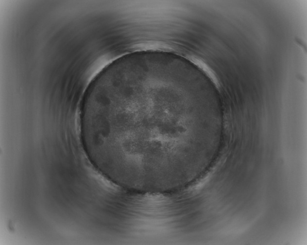 X0000097810983200803141115