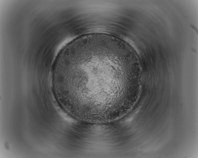 X0000097810987200803141115