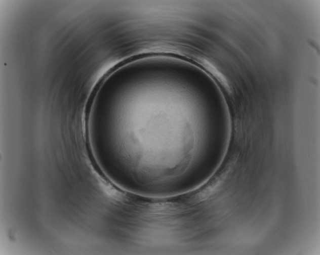 X0000097810988200803141115