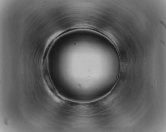 X0000097810995200803141115