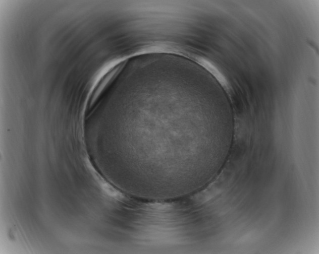 X0000097810996200803141115