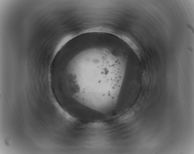 X0000097810998200803141115