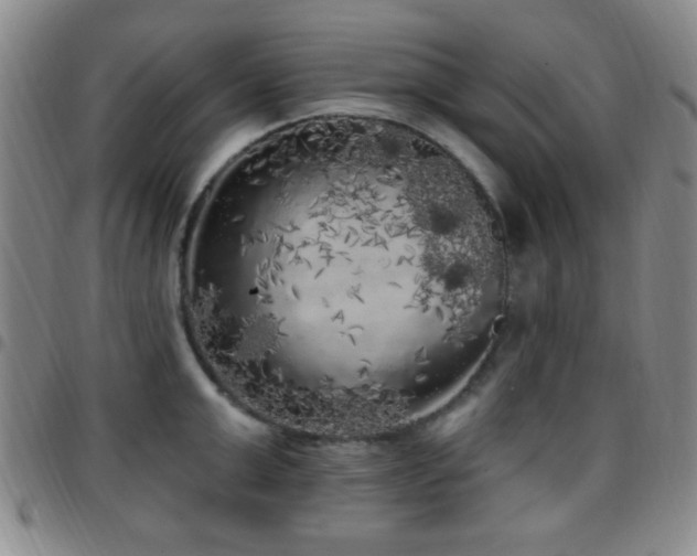 X0000097810999200803141115