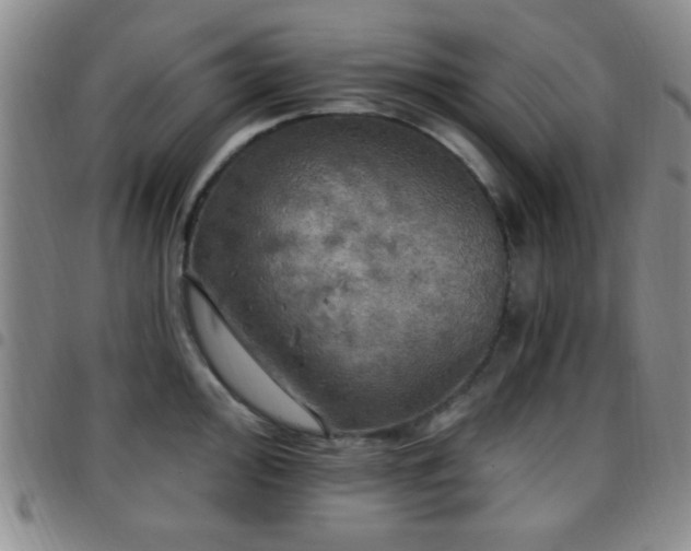 X0000097811000200803141115