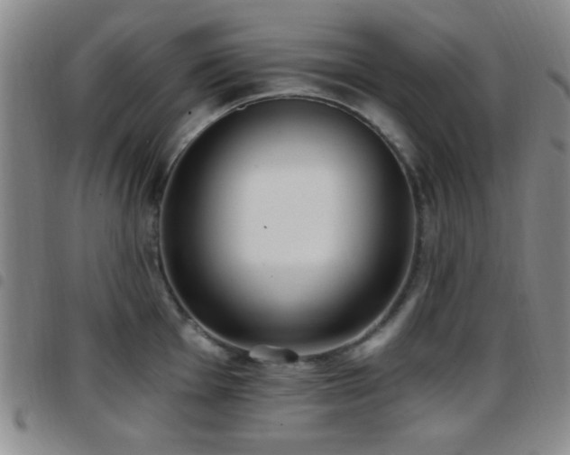 X0000097811001200803141115