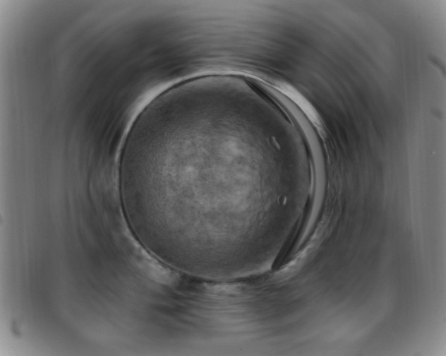 X0000097811004200803141114