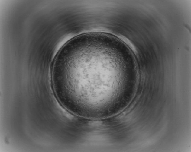 X0000097811006200803141114