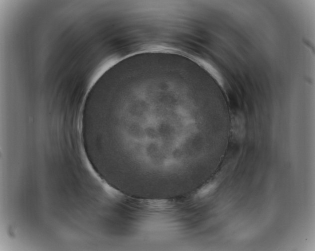 X0000097811007200803141114