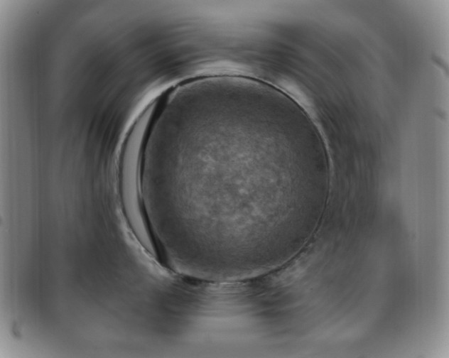 X0000097811008200803141114