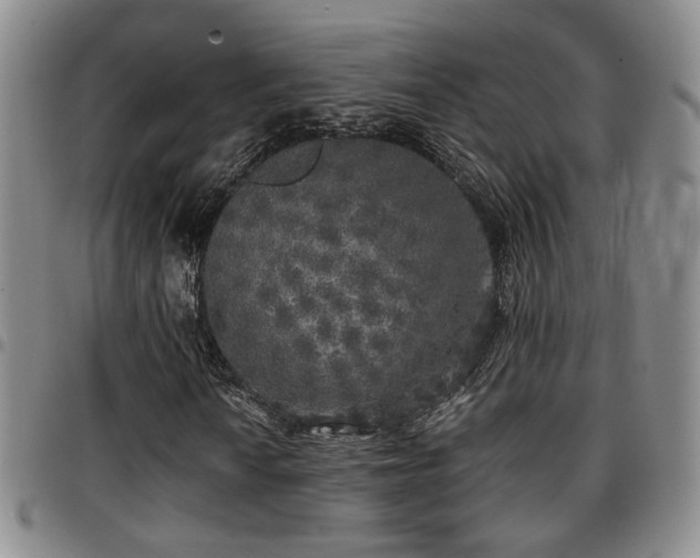 X0000097811010200803141114