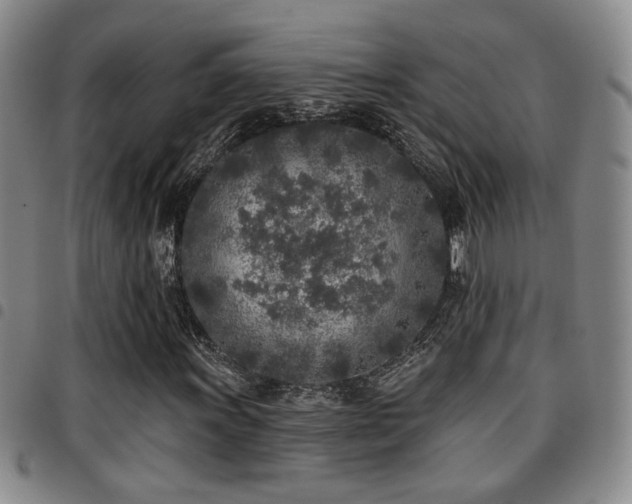 X0000097811011200803141114