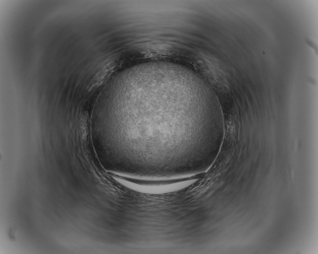 X0000097811012200803141114