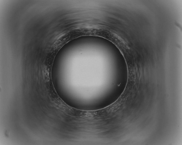 X0000097811013200803141114