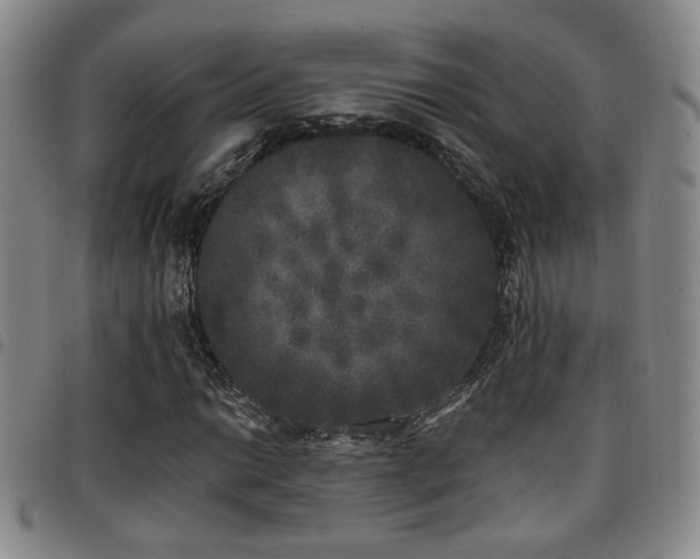 X0000097811014200803141114