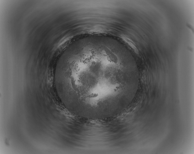 X0000097811015200803141114
