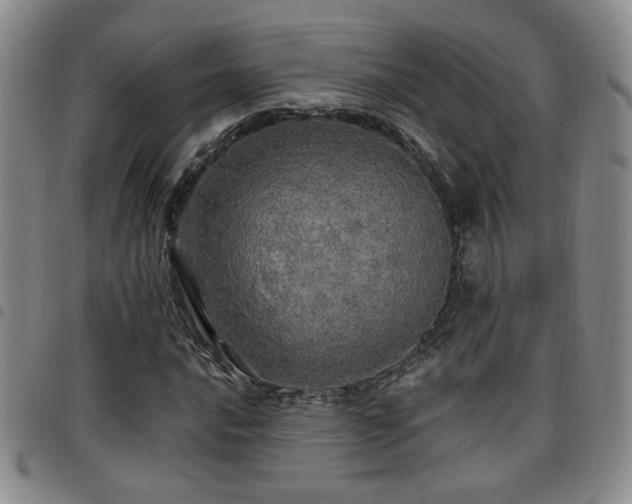 X0000097811016200803141114