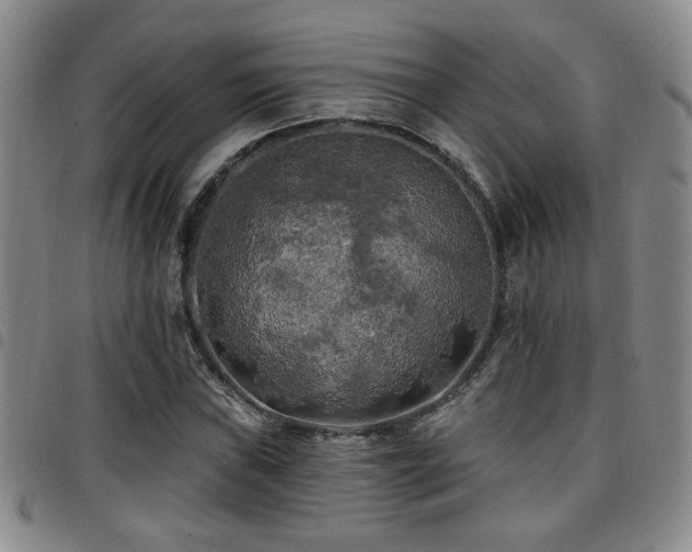 X0000097811019200803141114