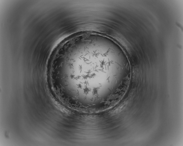 X0000097811020200803141114