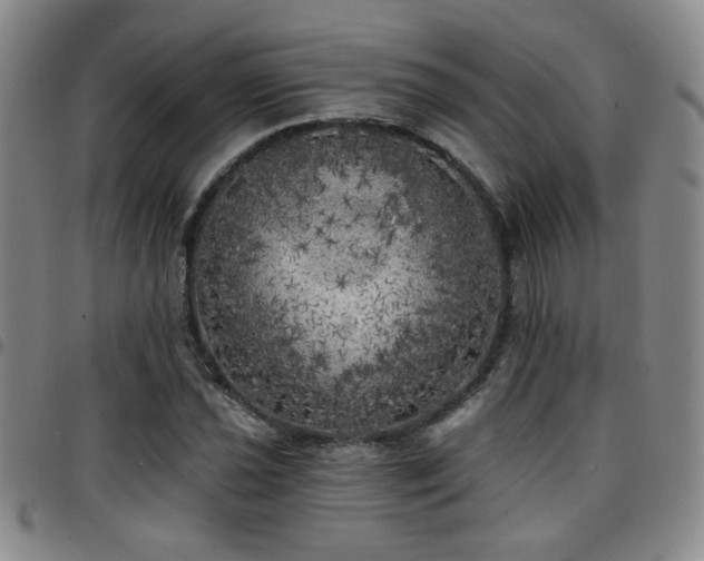 X0000097811021200803141114