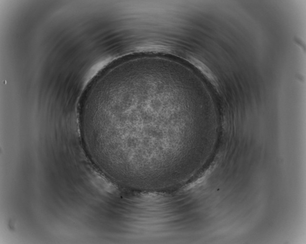 X0000097811022200803141114