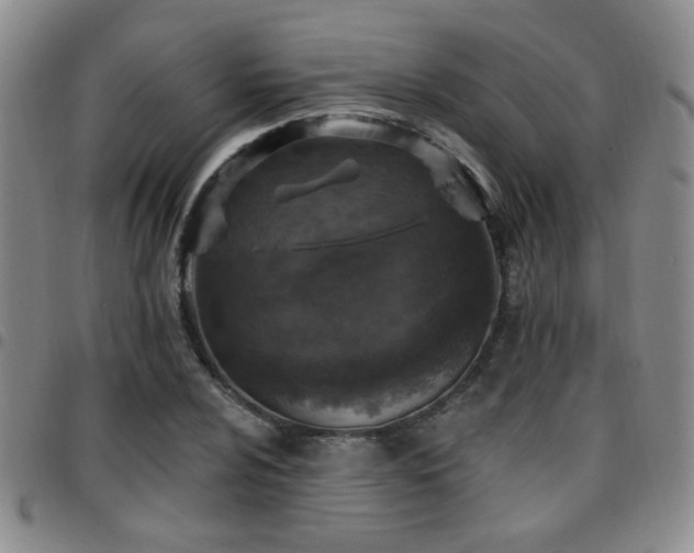X0000097811024200803141114