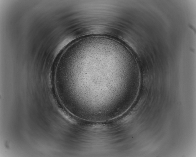 X0000097811026200803141114