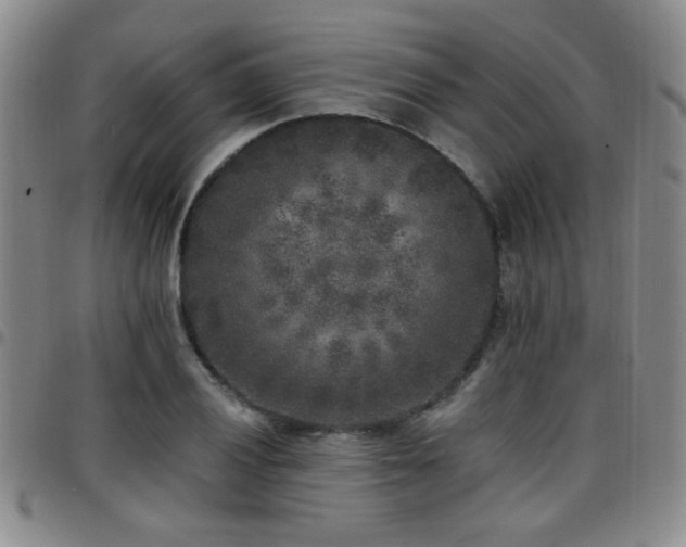 X0000097811028200803141114