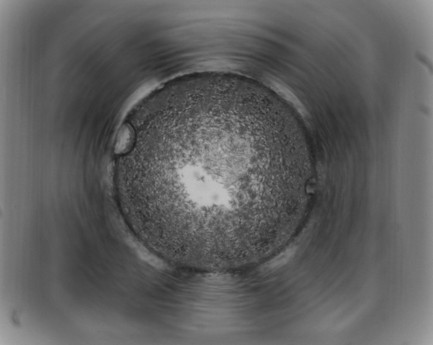 X0000097811029200803141114