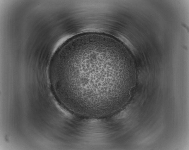 X0000097811030200803141114