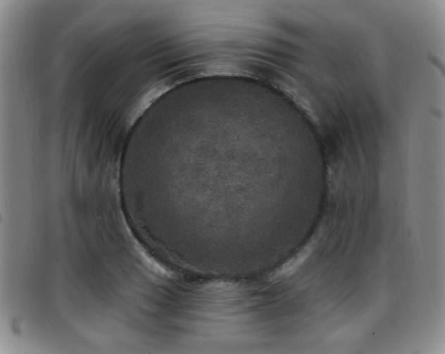 X0000097811033200803141114