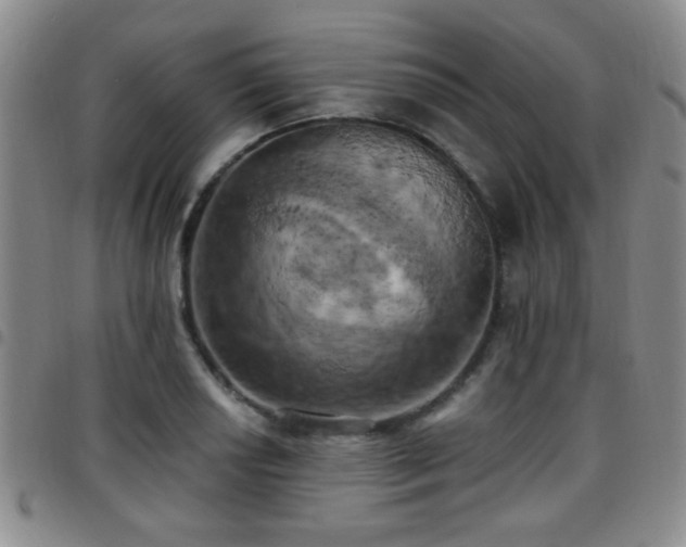 X0000097811034200803141114
