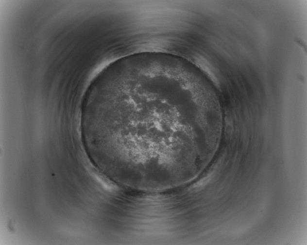 X0000097811035200803141114