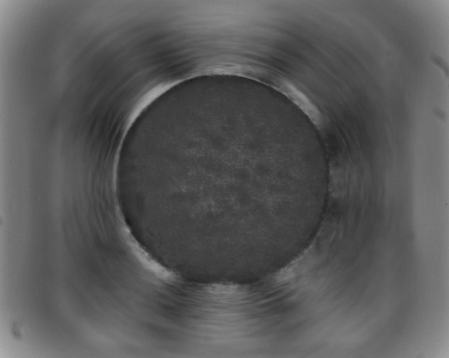 X0000097811036200803141114