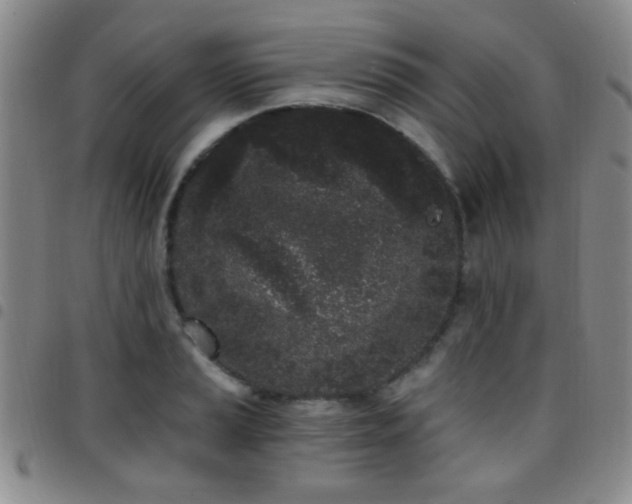 X0000097811037200803141114
