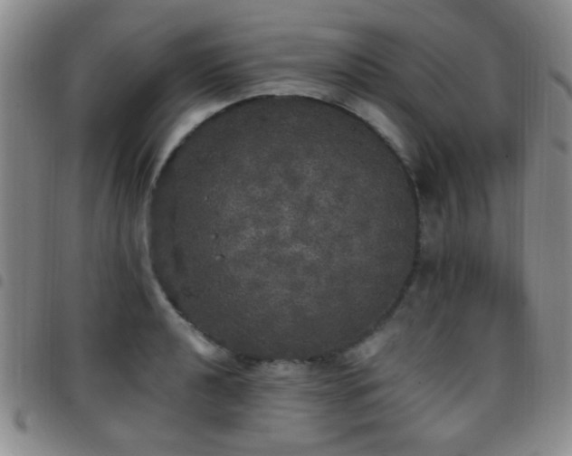 X0000097811040200803141114