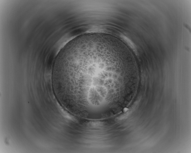 X0000097811041200803141114