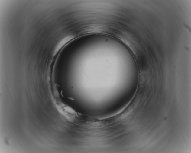 X0000097811042200803141114
