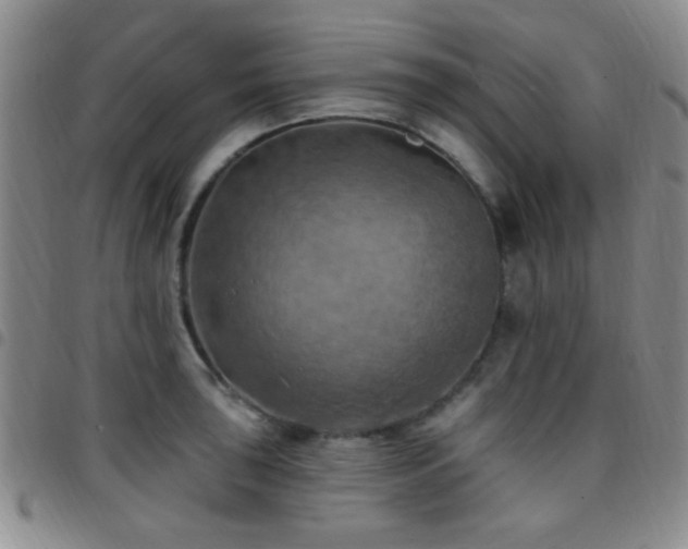 X0000097811043200803141114