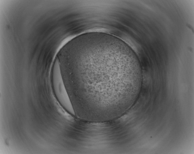 X0000097811044200803141114