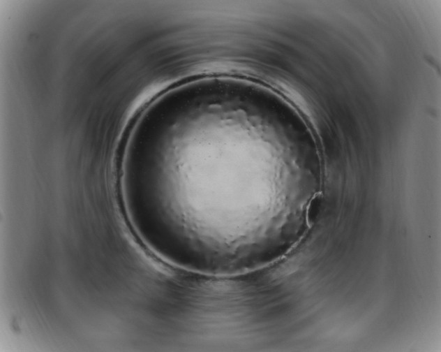 X0000097811045200803141114
