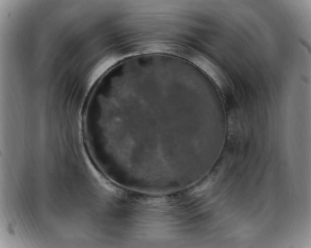 X0000097811047200803141114