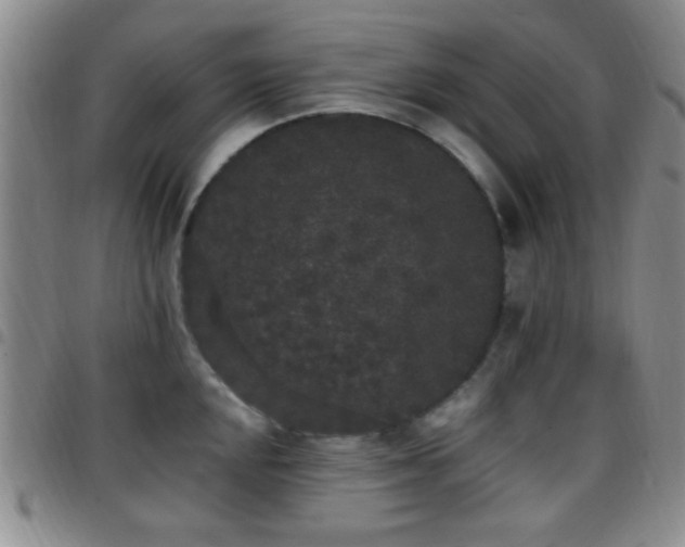 X0000097811048200803141114