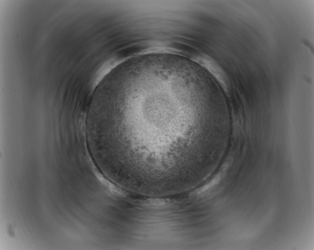 X0000097811049200803141114