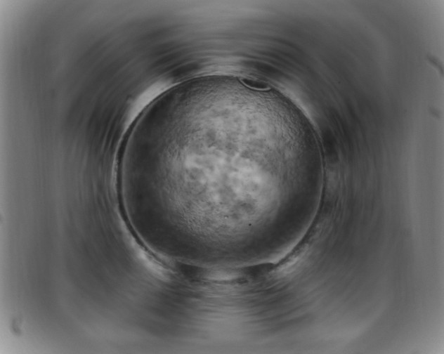 X0000097811050200803141114