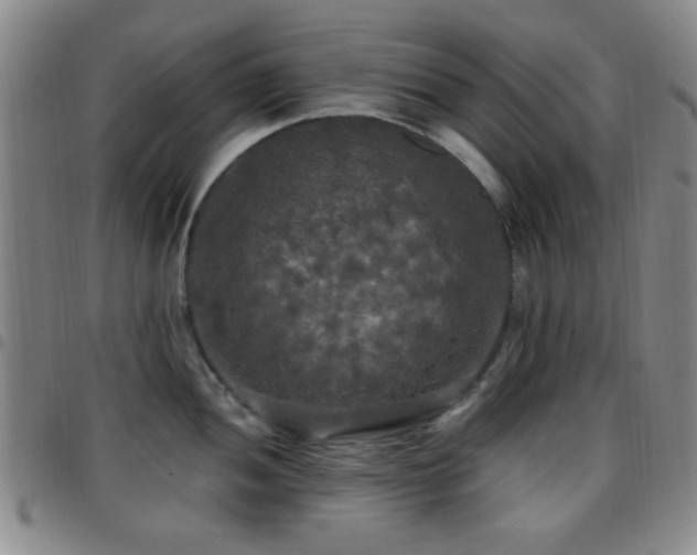 X0000097811052200803141114